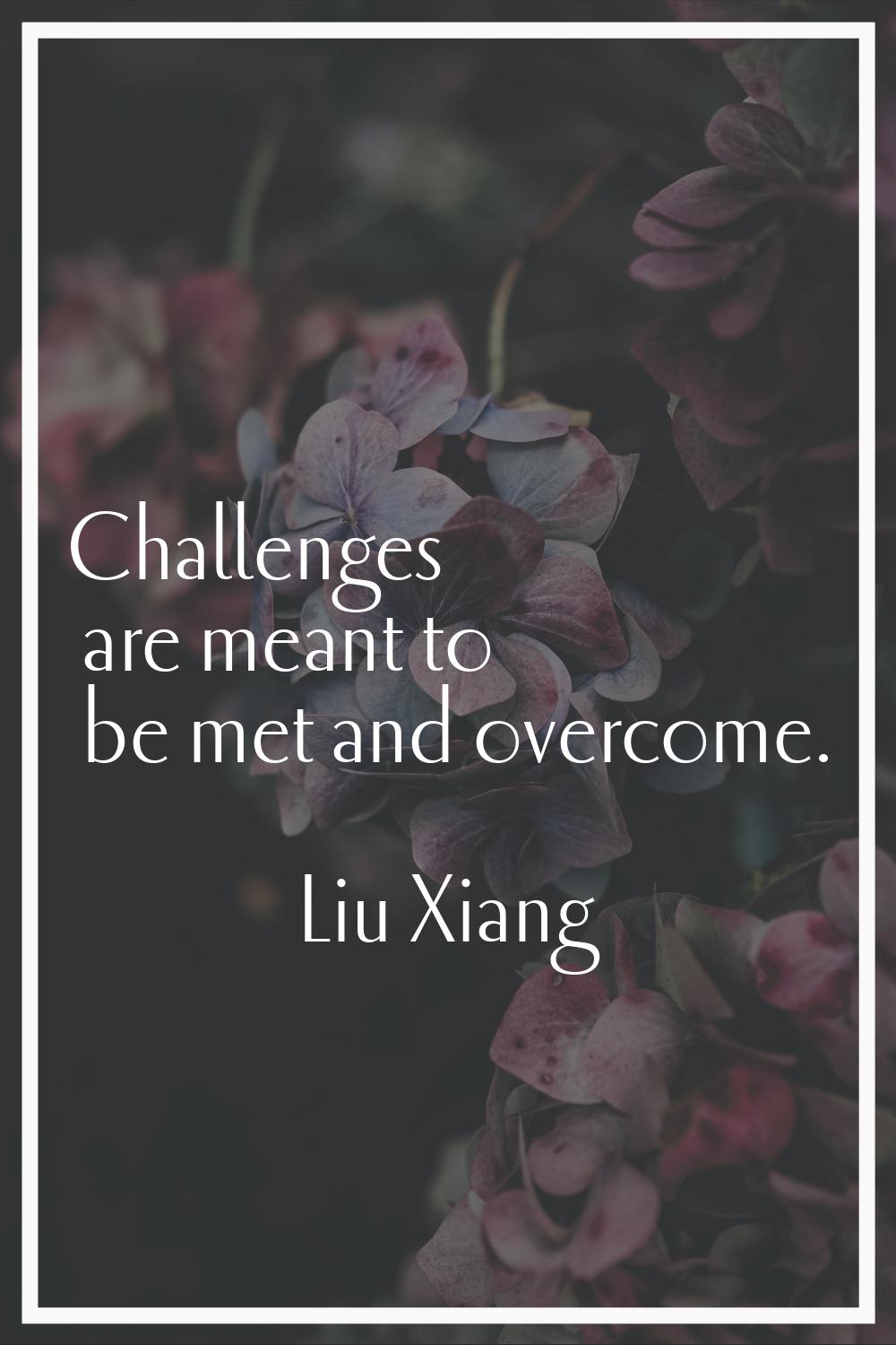 Challenges are meant to be met and overcome.