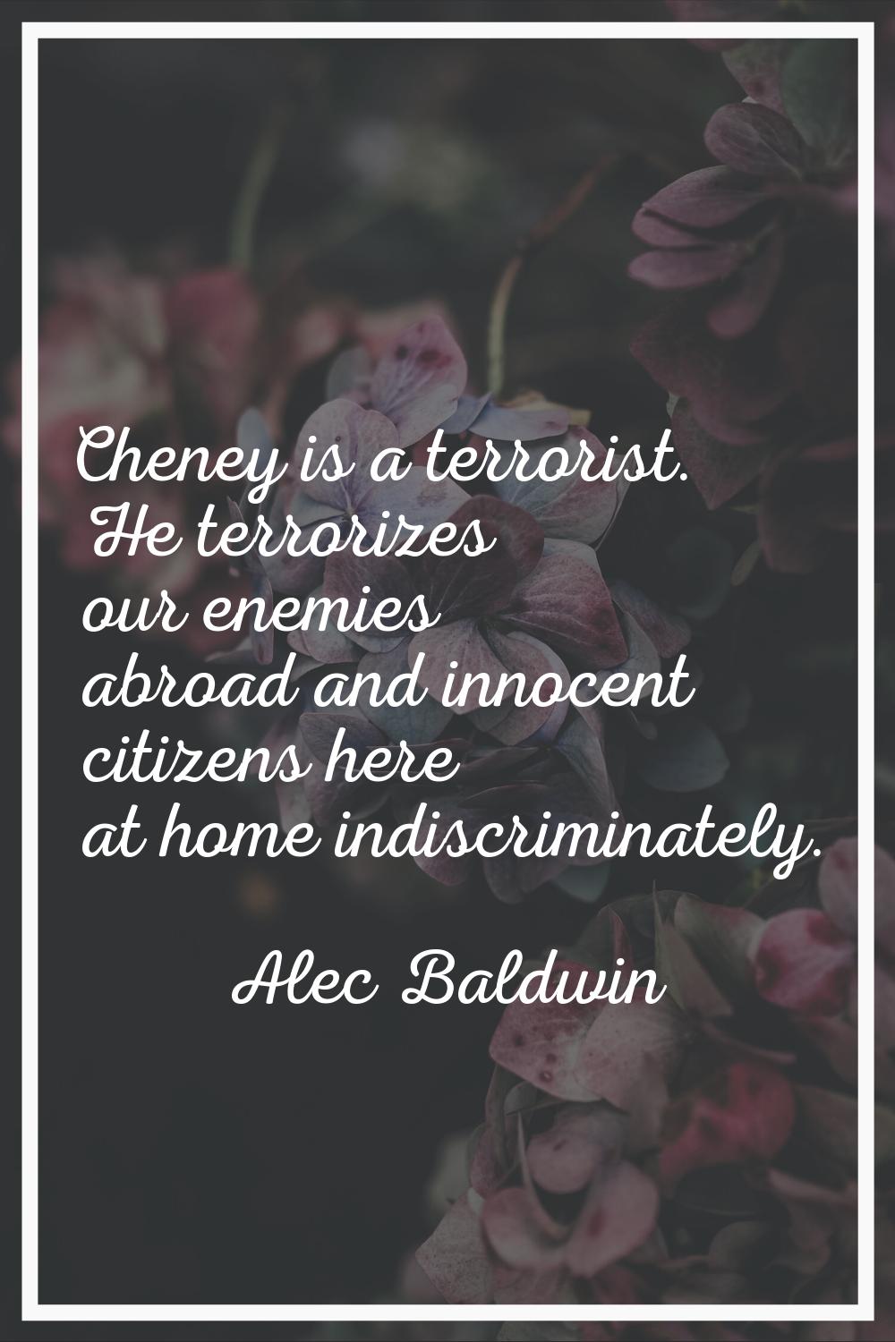 Cheney is a terrorist. He terrorizes our enemies abroad and innocent citizens here at home indiscri