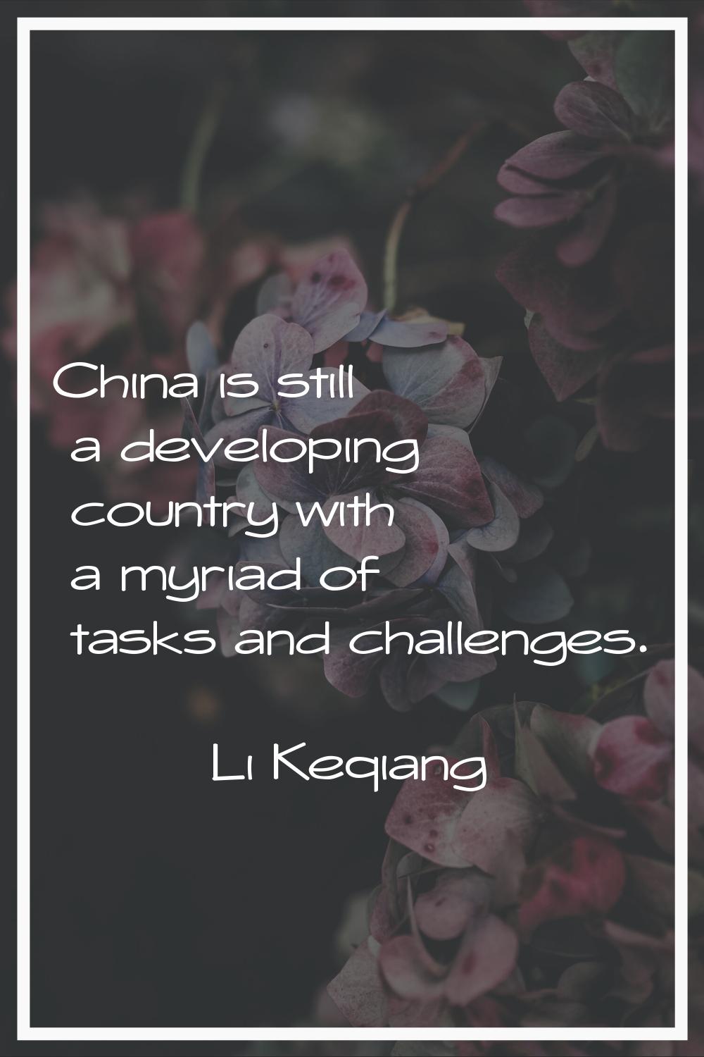 China is still a developing country with a myriad of tasks and challenges.