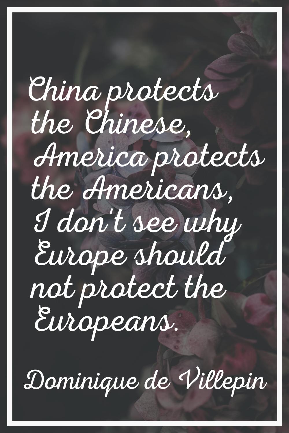 China protects the Chinese, America protects the Americans, I don't see why Europe should not prote