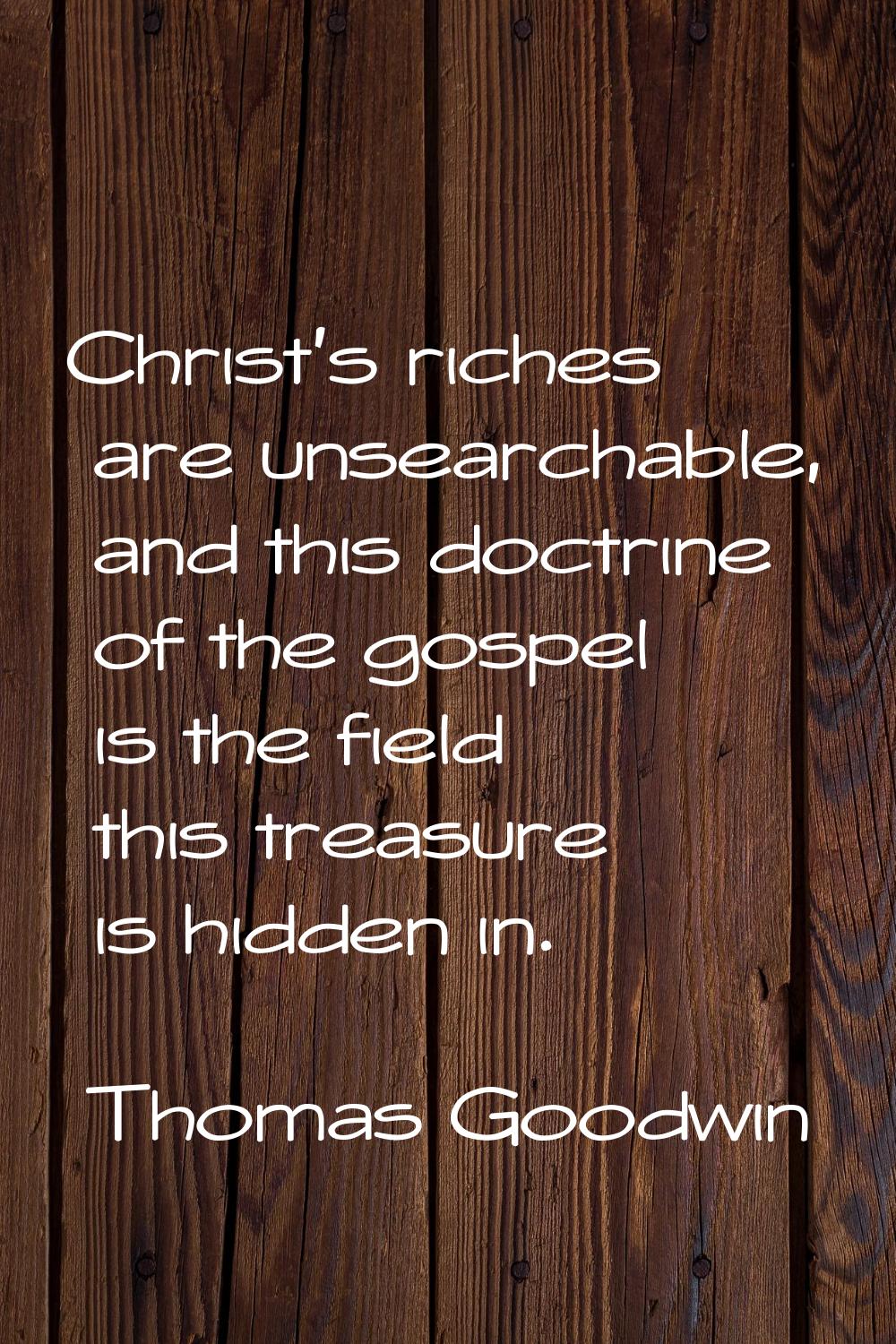 Christ's riches are unsearchable, and this doctrine of the gospel is the field this treasure is hid