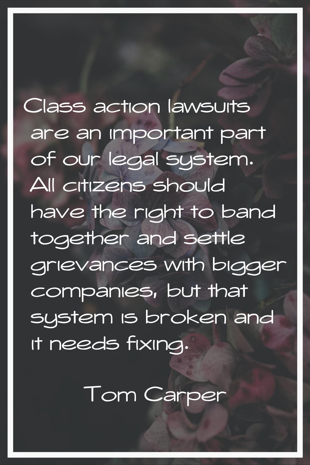 Class action lawsuits are an important part of our legal system. All citizens should have the right