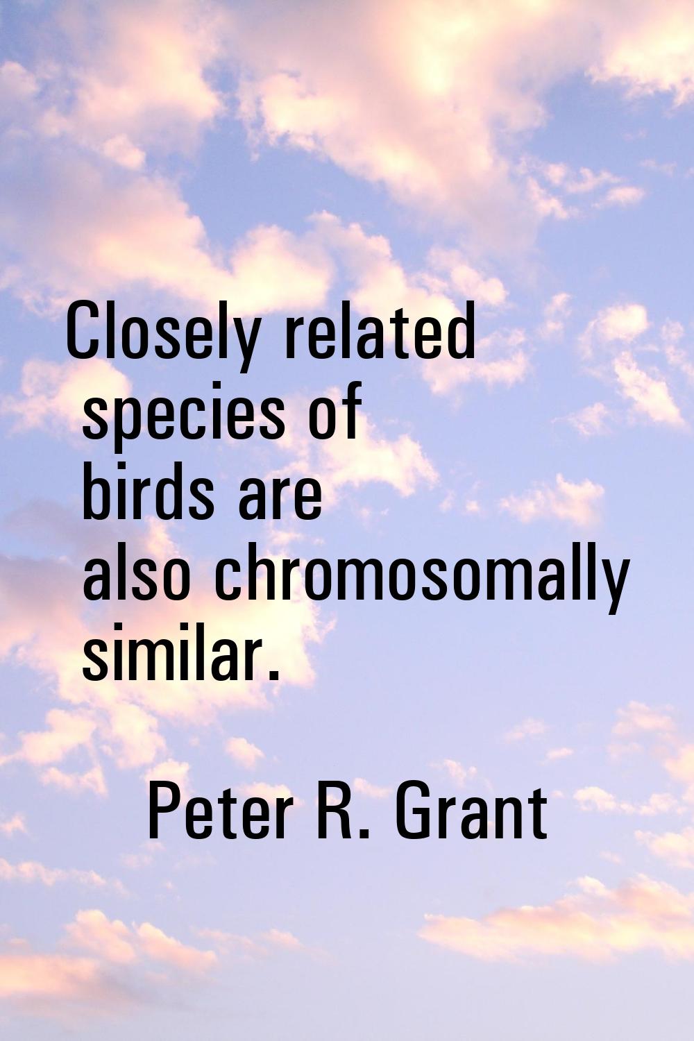 Closely related species of birds are also chromosomally similar.