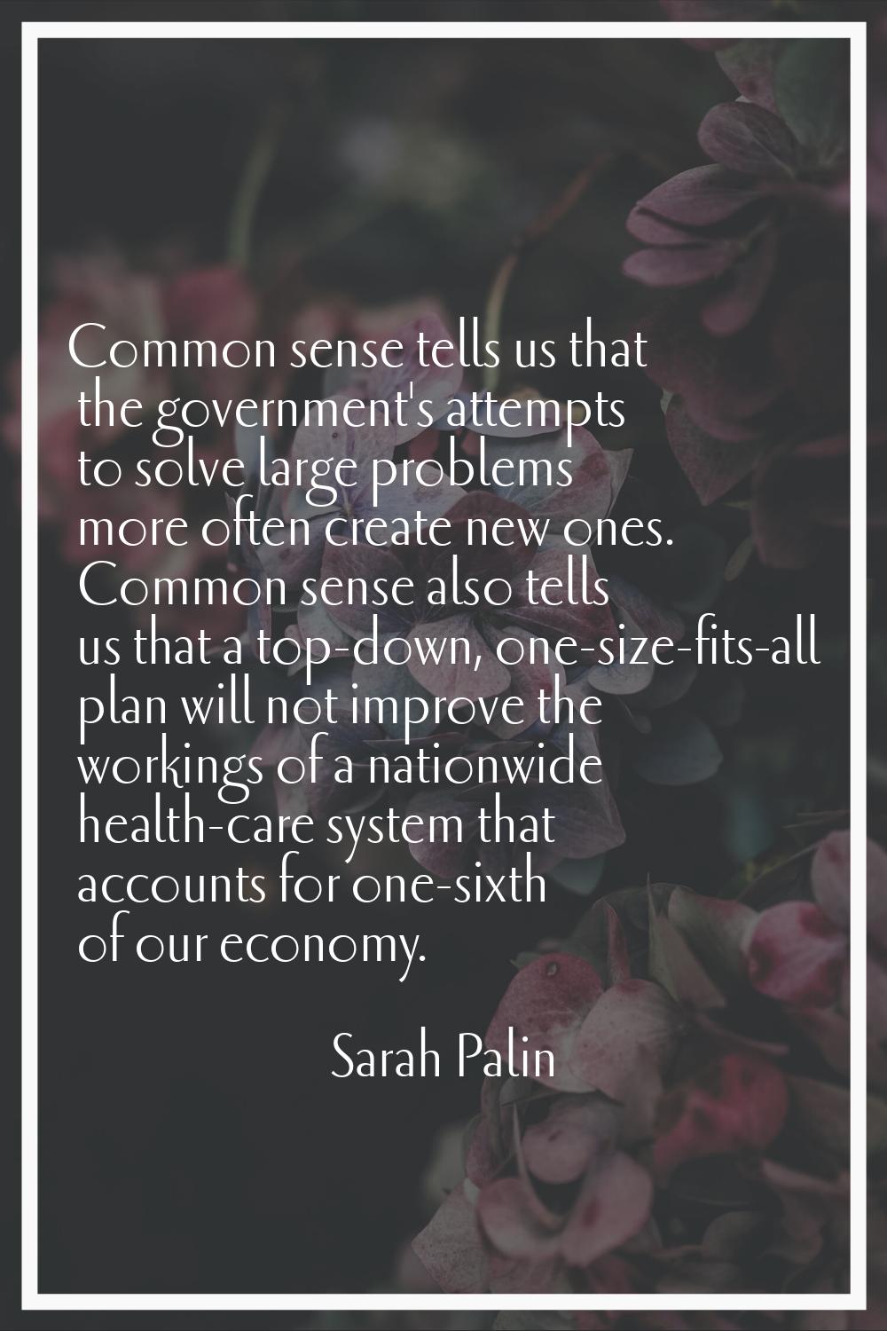 Common sense tells us that the government's attempts to solve large problems more often create new 