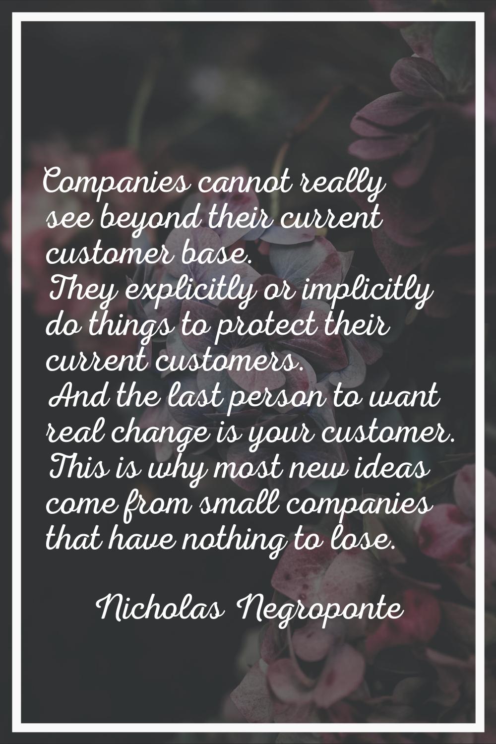 Companies cannot really see beyond their current customer base. They explicitly or implicitly do th