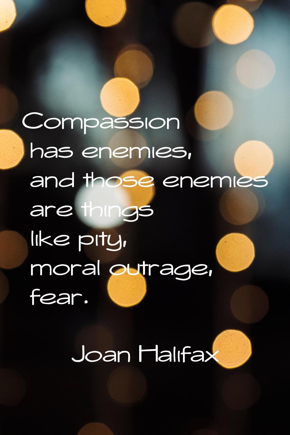 Compassion has enemies, and those enemies are things like pity, moral outrage, fear.