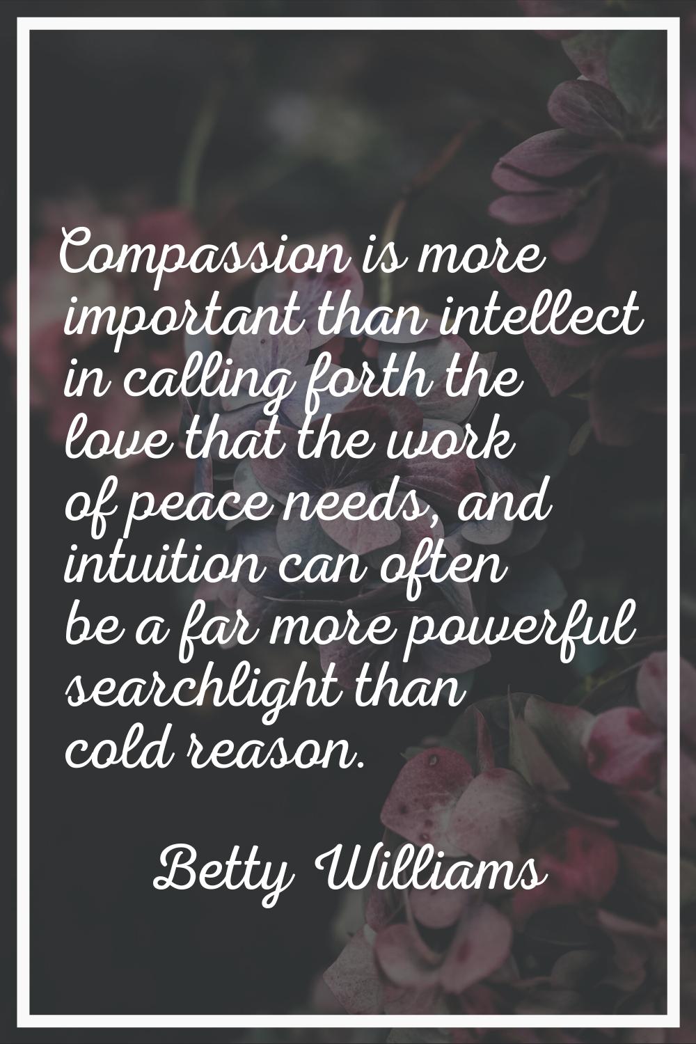 Compassion is more important than intellect in calling forth the love that the work of peace needs,