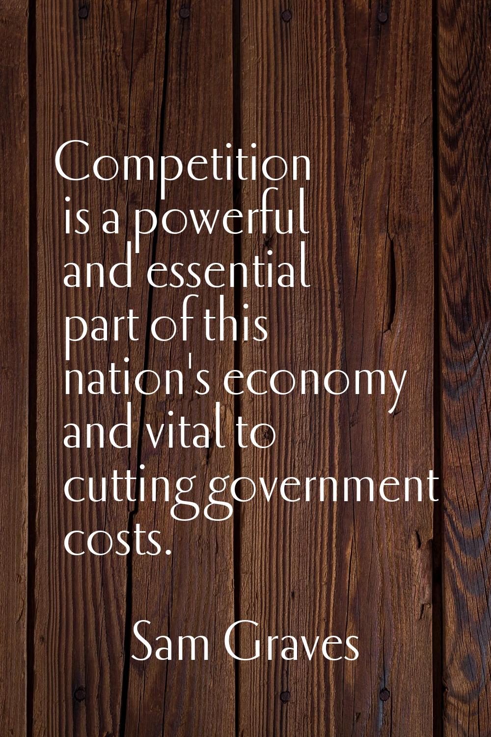 Competition is a powerful and essential part of this nation's economy and vital to cutting governme