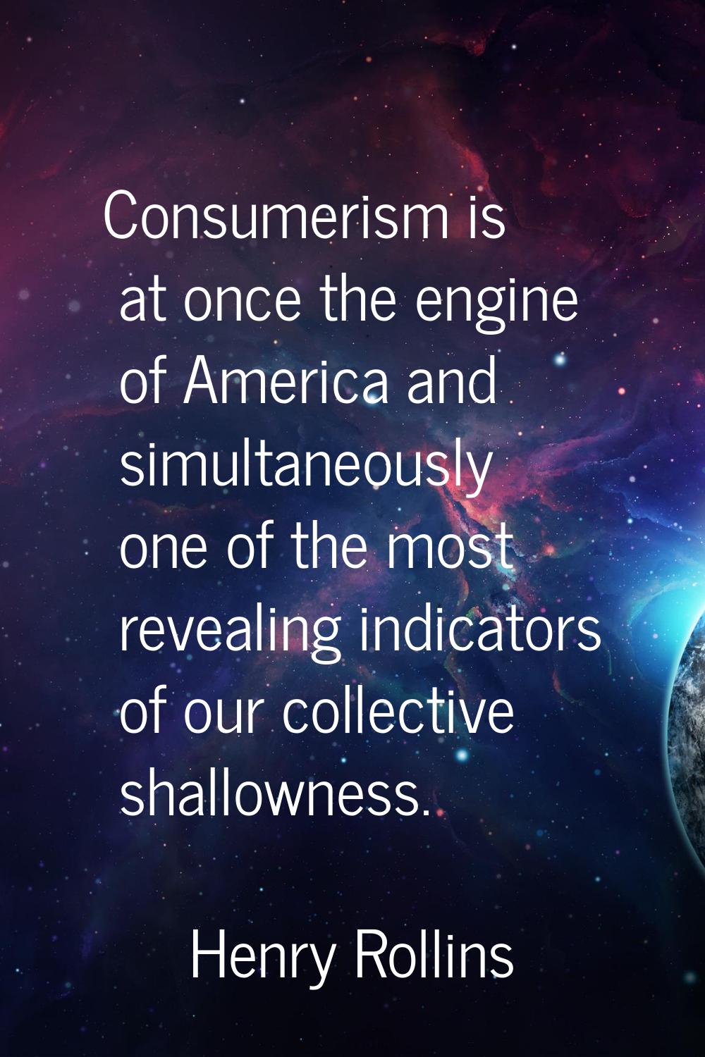 Consumerism is at once the engine of America and simultaneously one of the most revealing indicator