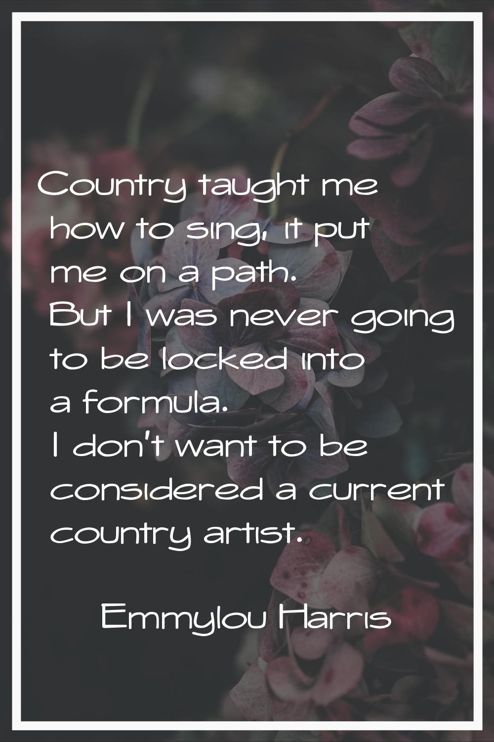 Country taught me how to sing, it put me on a path. But I was never going to be locked into a formu