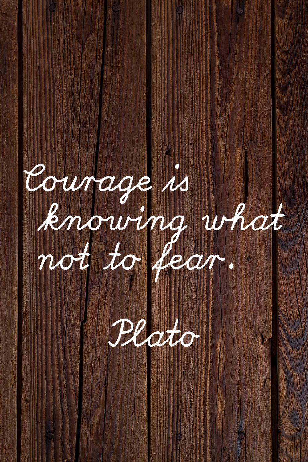 Courage is knowing what not to fear.