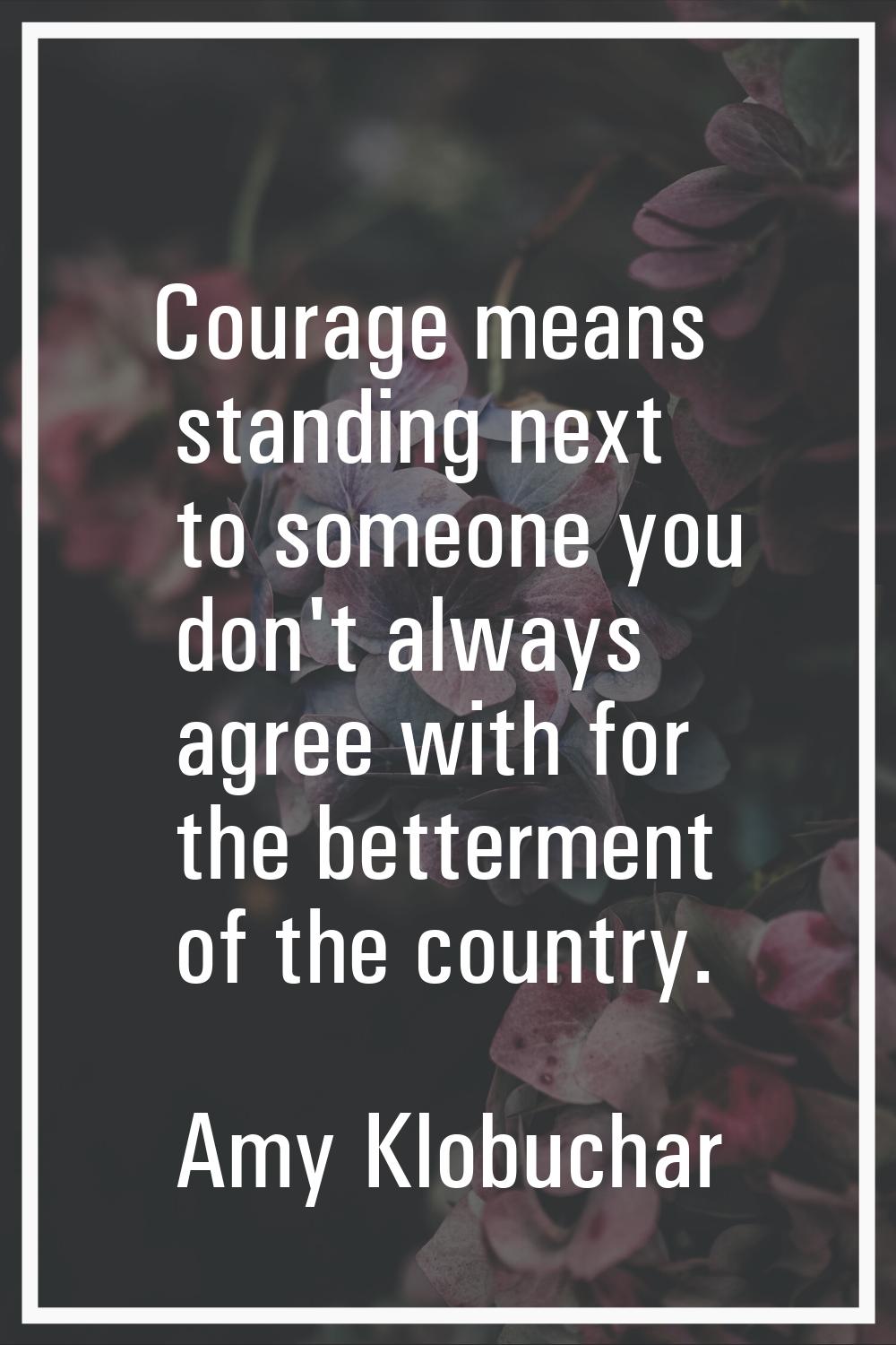Courage means standing next to someone you don't always agree with for the betterment of the countr