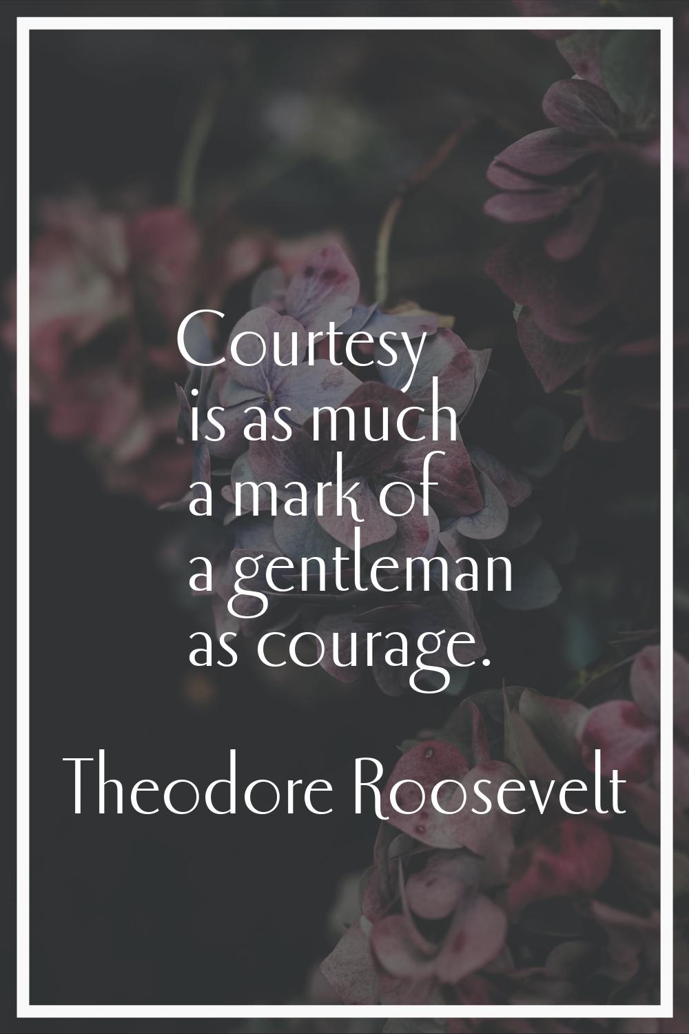 Courtesy is as much a mark of a gentleman as courage.