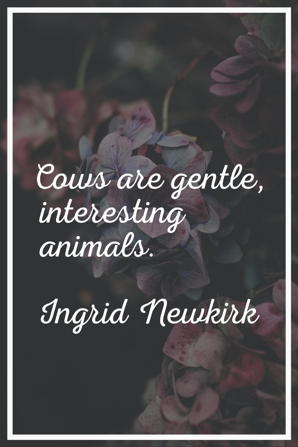 Cows are gentle, interesting animals.