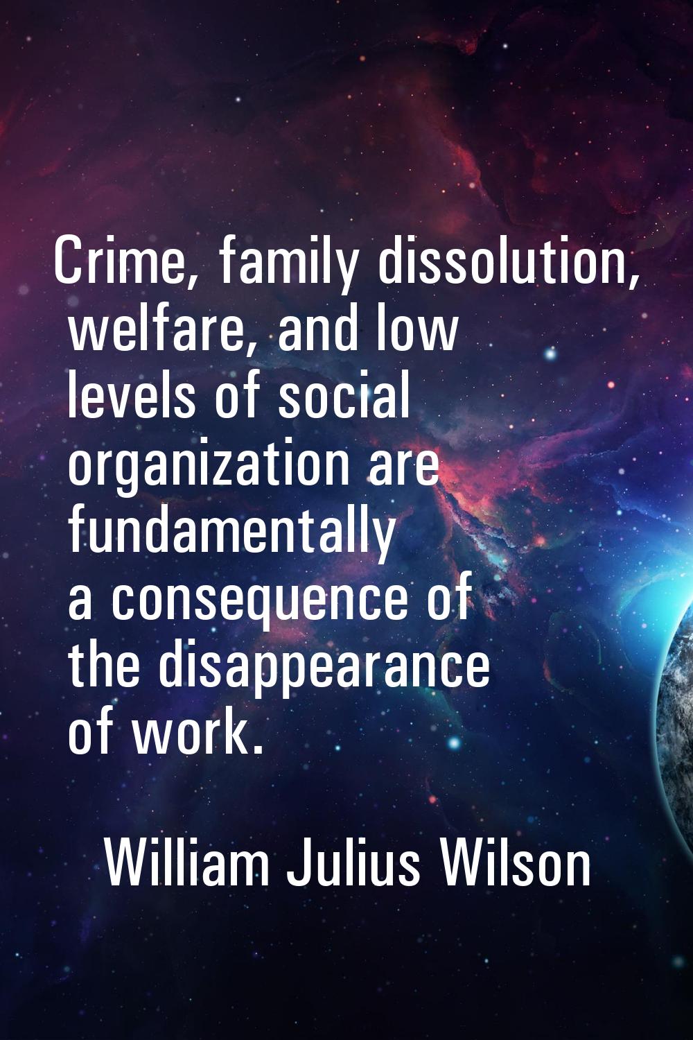 Crime, family dissolution, welfare, and low levels of social organization are fundamentally a conse