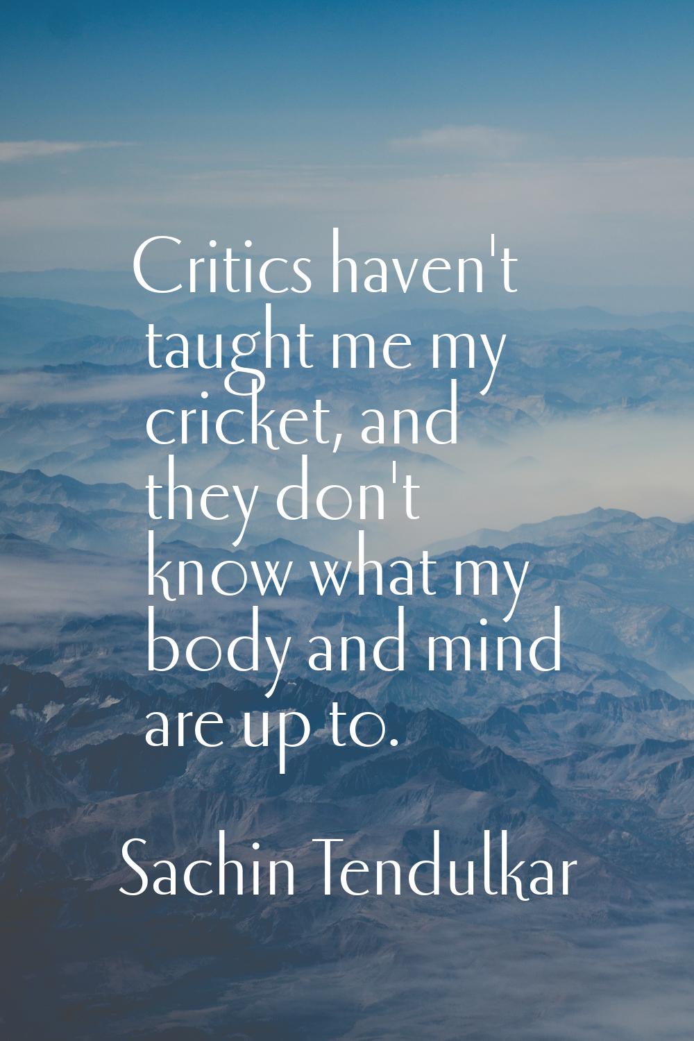 Critics haven't taught me my cricket, and they don't know what my body and mind are up to.