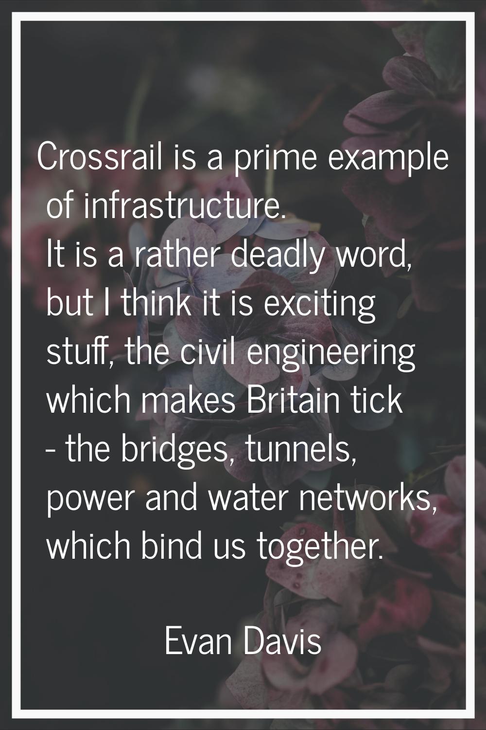 Crossrail is a prime example of infrastructure. It is a rather deadly word, but I think it is excit