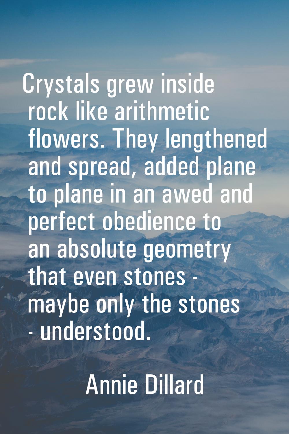 Crystals grew inside rock like arithmetic flowers. They lengthened and spread, added plane to plane