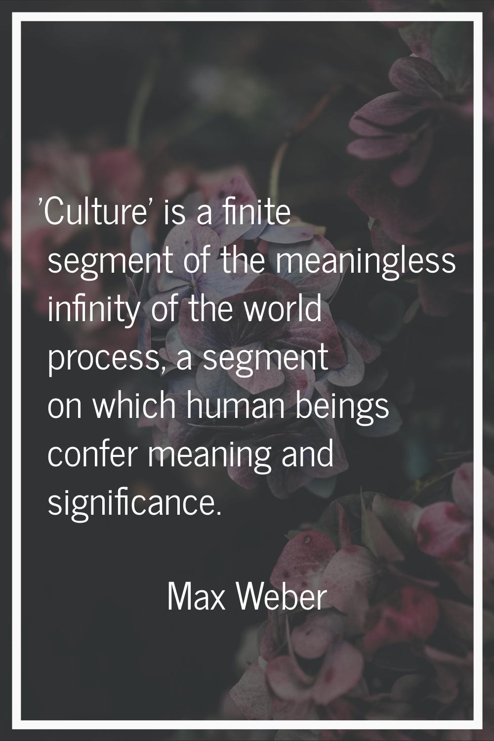 'Culture' is a finite segment of the meaningless infinity of the world process, a segment on which 