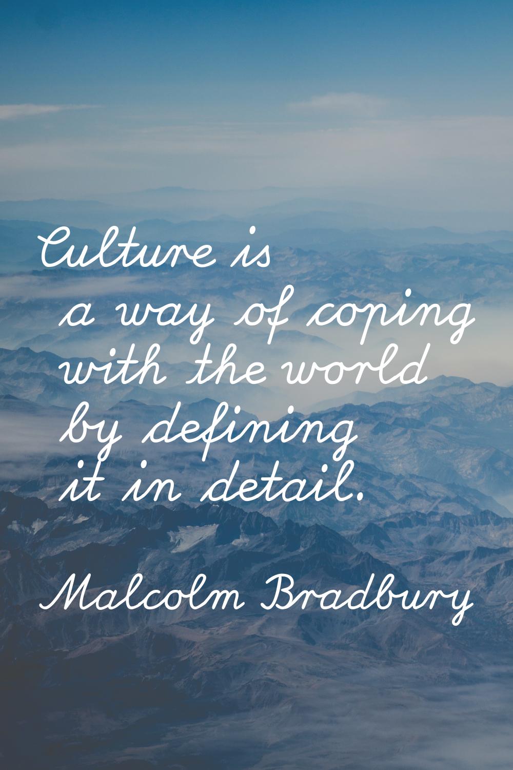 Culture is a way of coping with the world by defining it in detail.