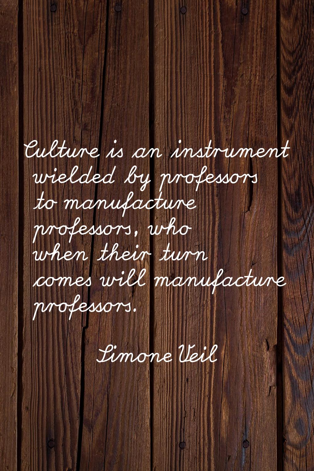 Culture is an instrument wielded by professors to manufacture professors, who when their turn comes