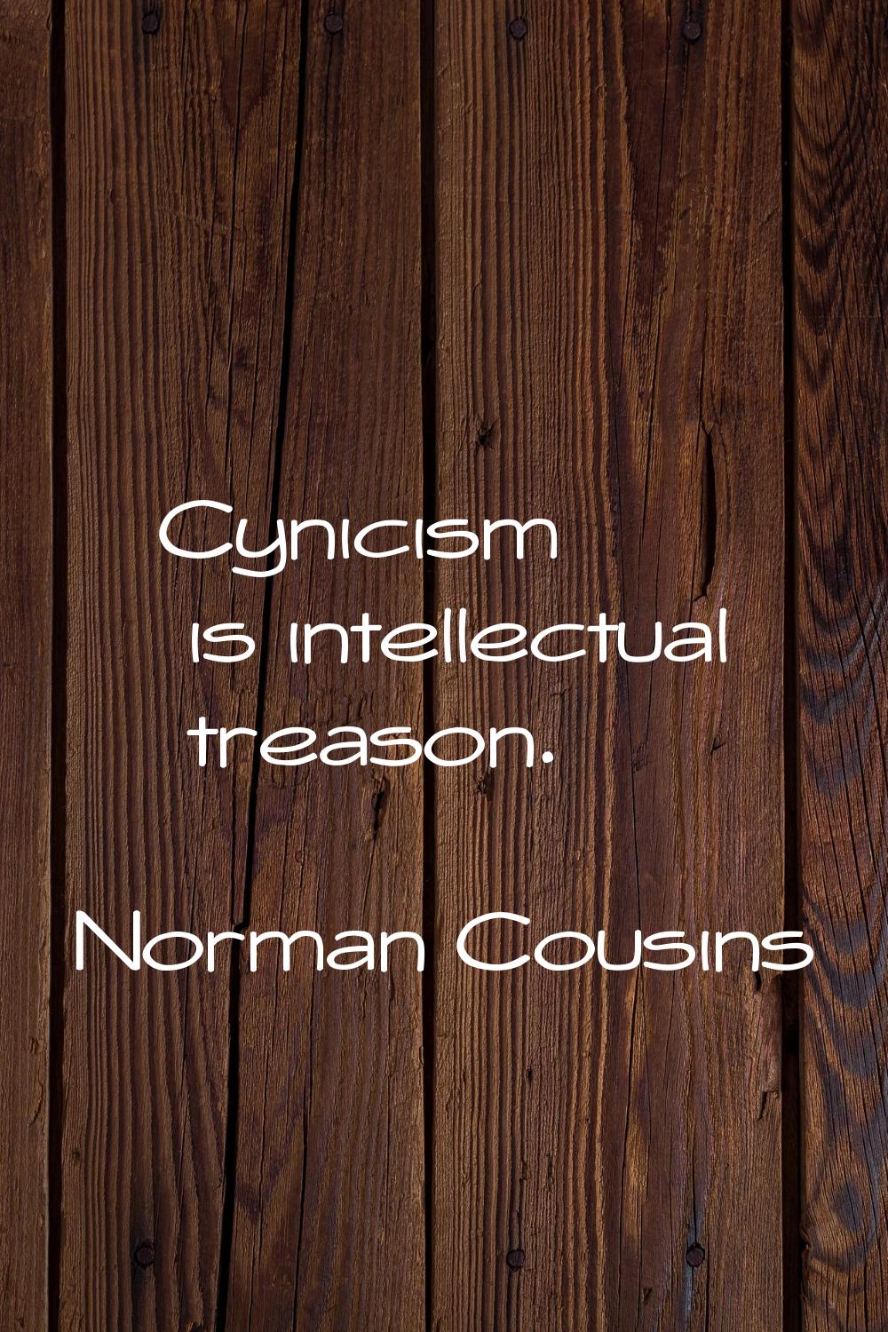 Cynicism is intellectual treason.