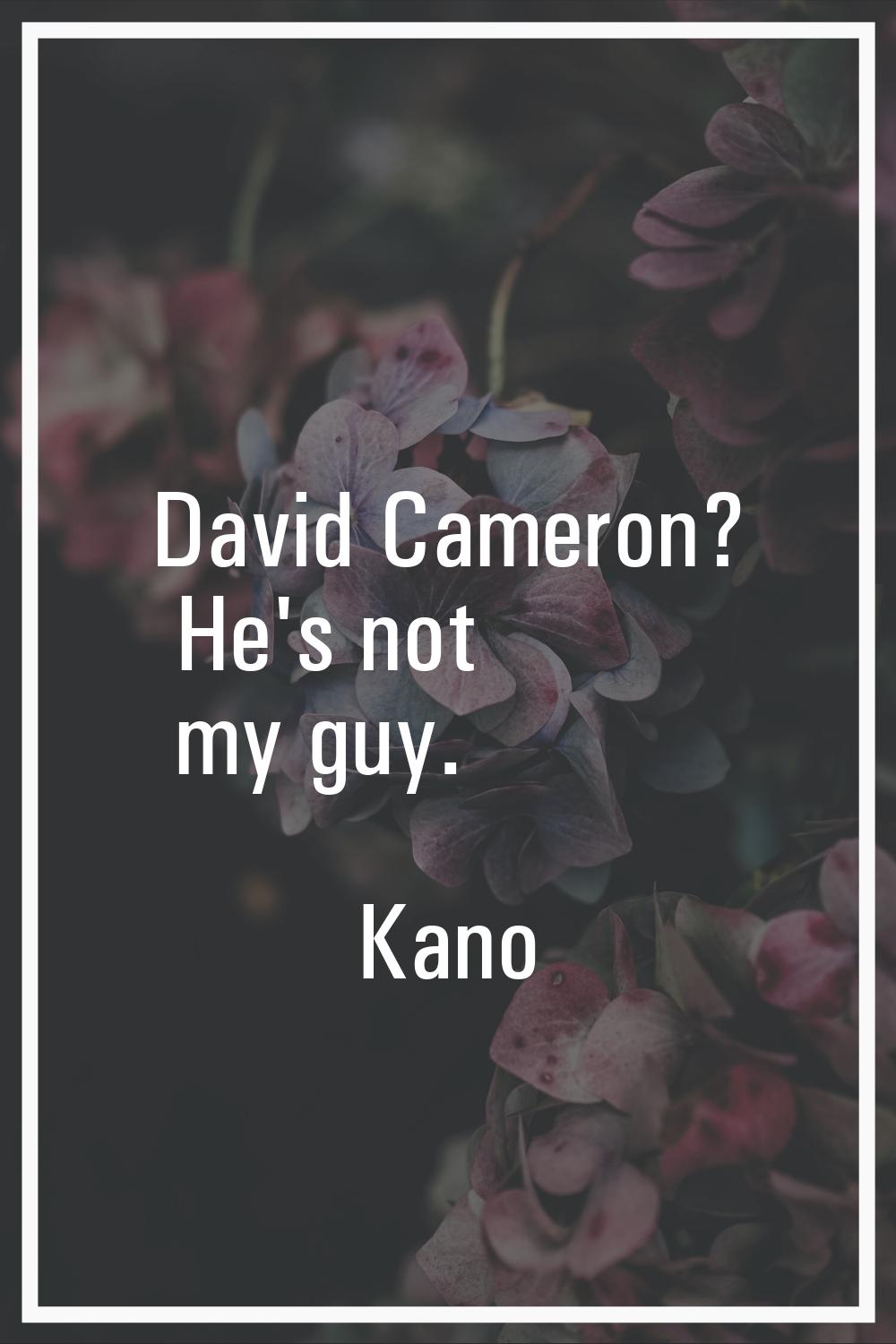 David Cameron? He's not my guy.