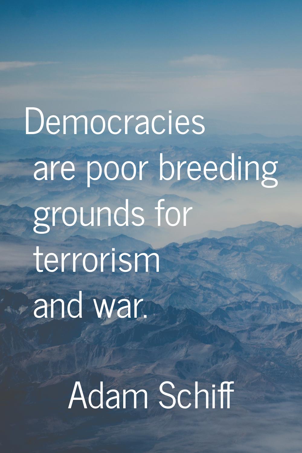 Democracies are poor breeding grounds for terrorism and war.