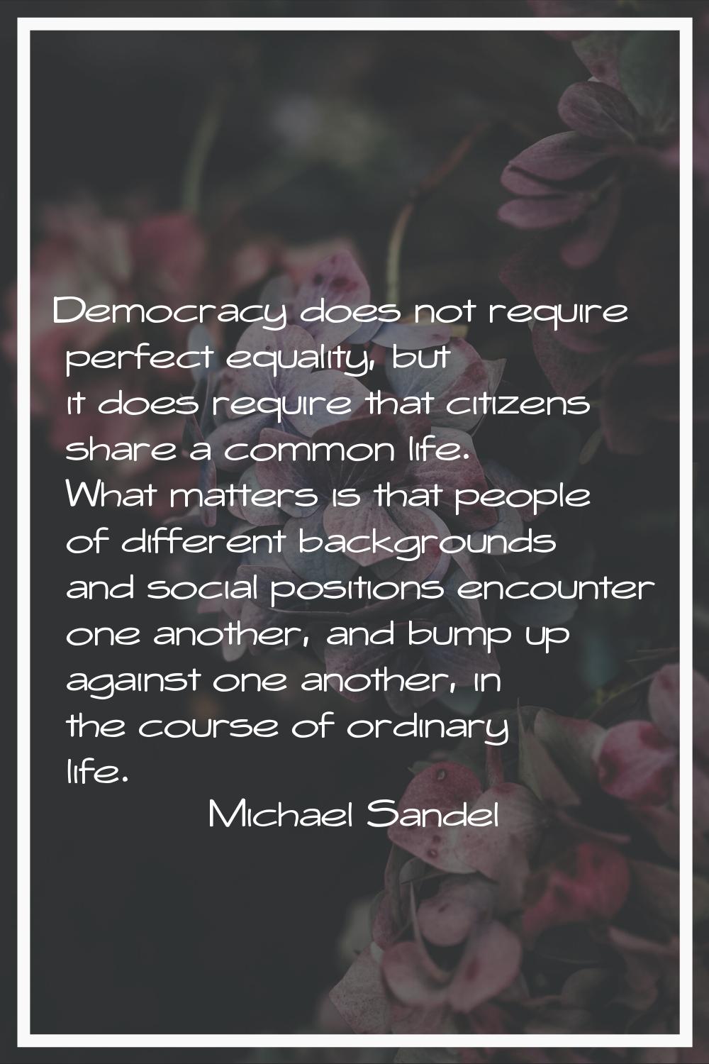Democracy does not require perfect equality, but it does require that citizens share a common life.