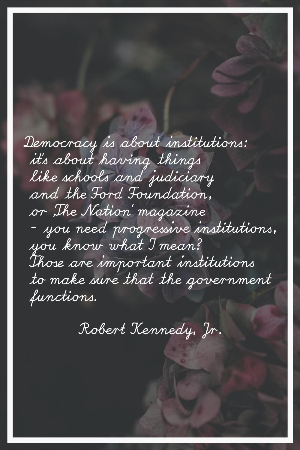 Democracy is about institutions: it's about having things like schools and judiciary and the Ford F