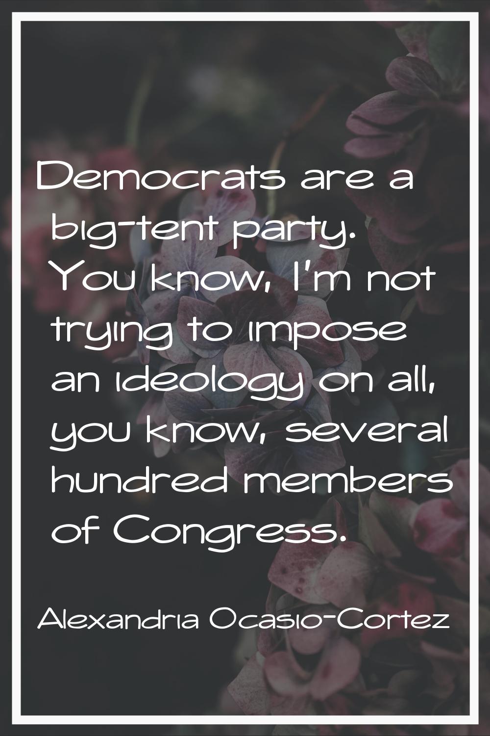 Democrats are a big-tent party. You know, I'm not trying to impose an ideology on all, you know, se