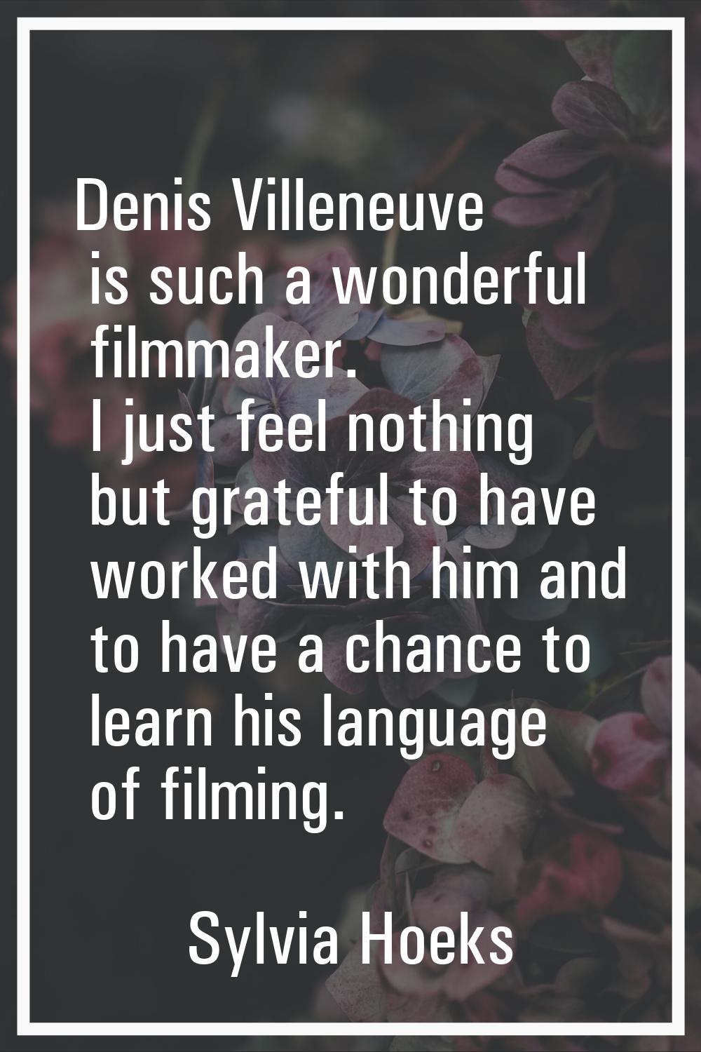 Denis Villeneuve is such a wonderful filmmaker. I just feel nothing but grateful to have worked wit