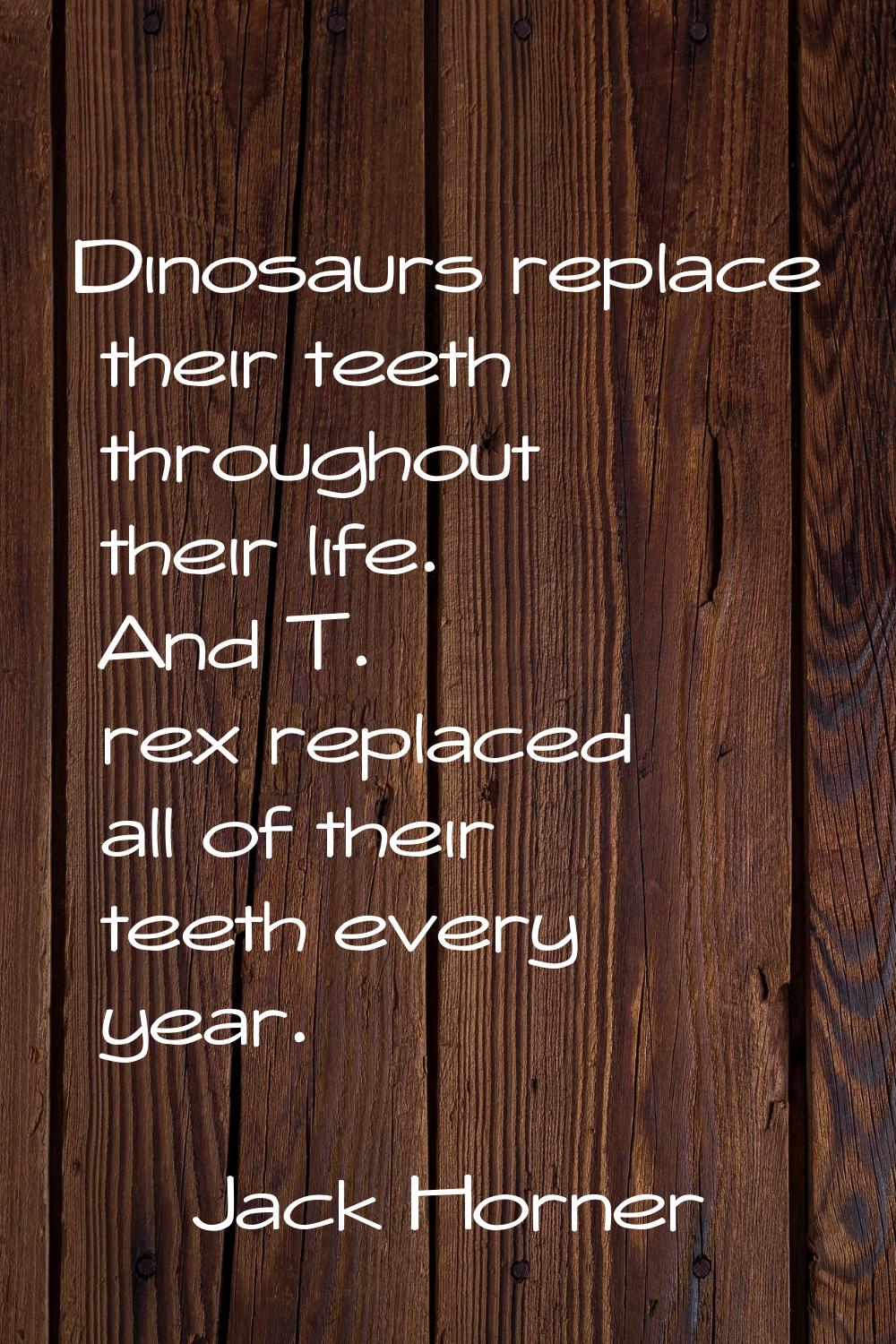 Dinosaurs replace their teeth throughout their life. And T. rex replaced all of their teeth every y