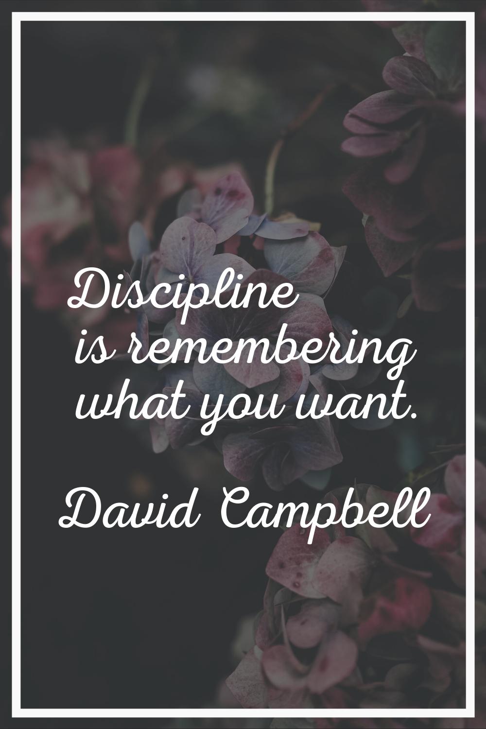 Discipline is remembering what you want.