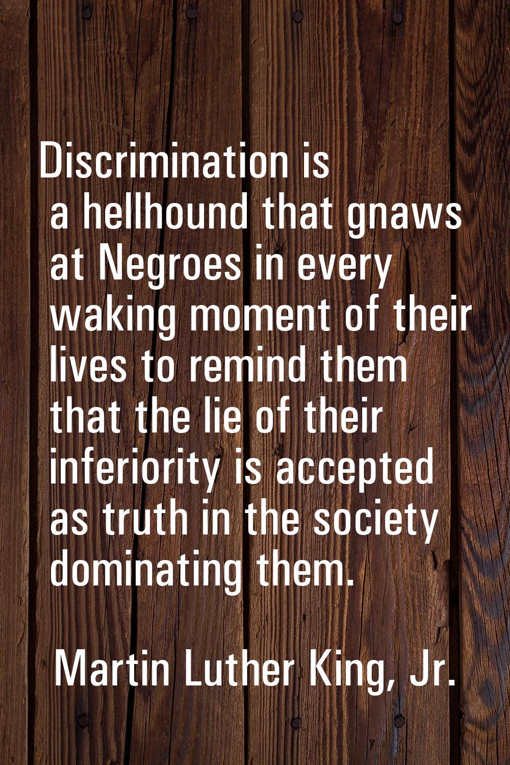 Discrimination is a hellhound that gnaws at Negroes in every waking moment of their lives to remind