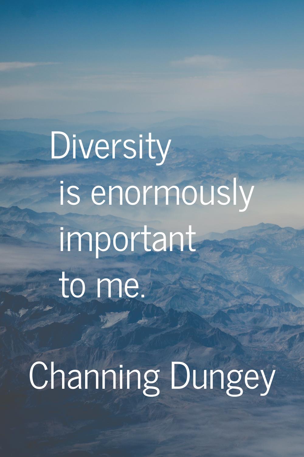 Diversity is enormously important to me.