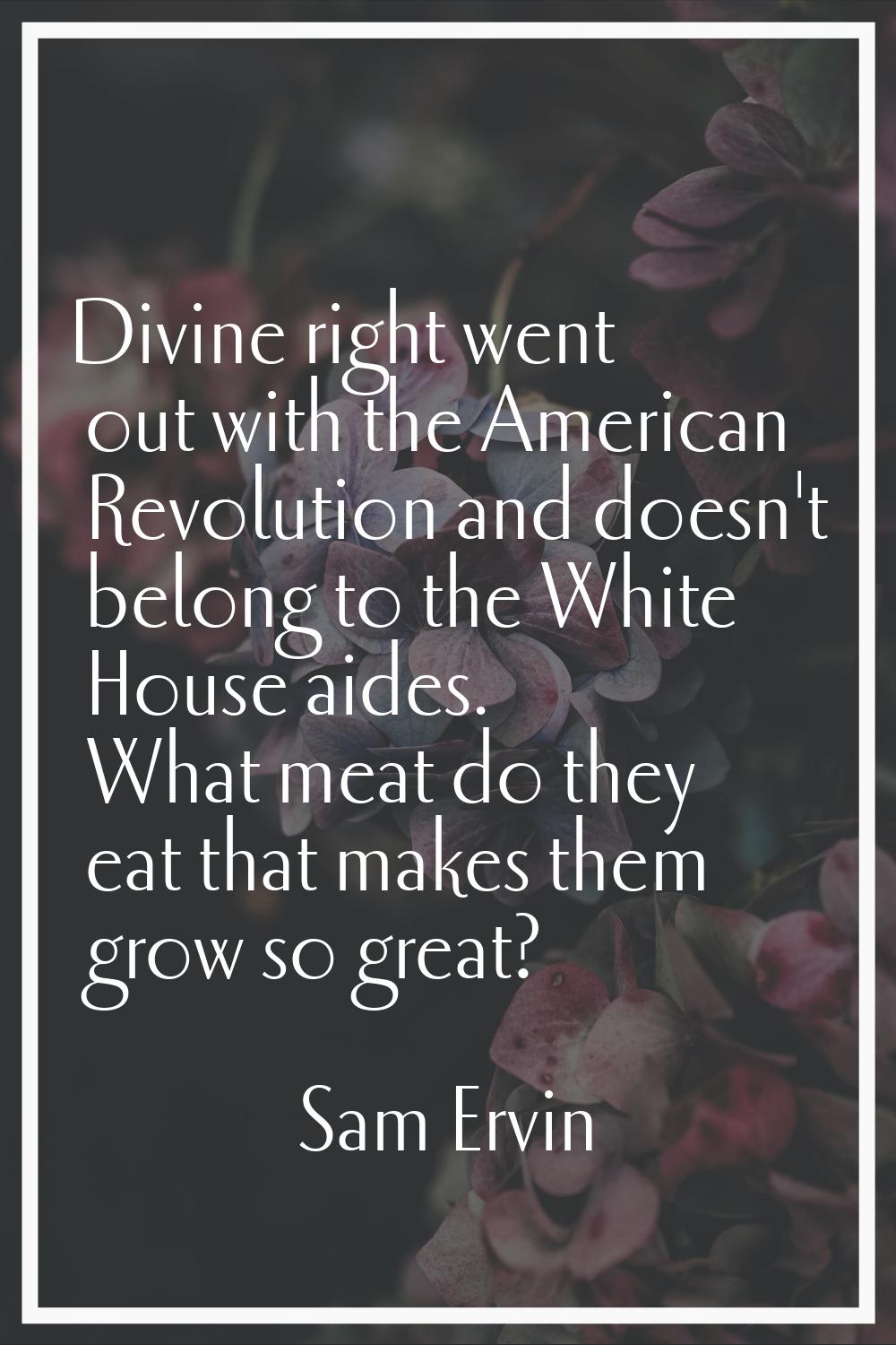 Divine right went out with the American Revolution and doesn't belong to the White House aides. Wha