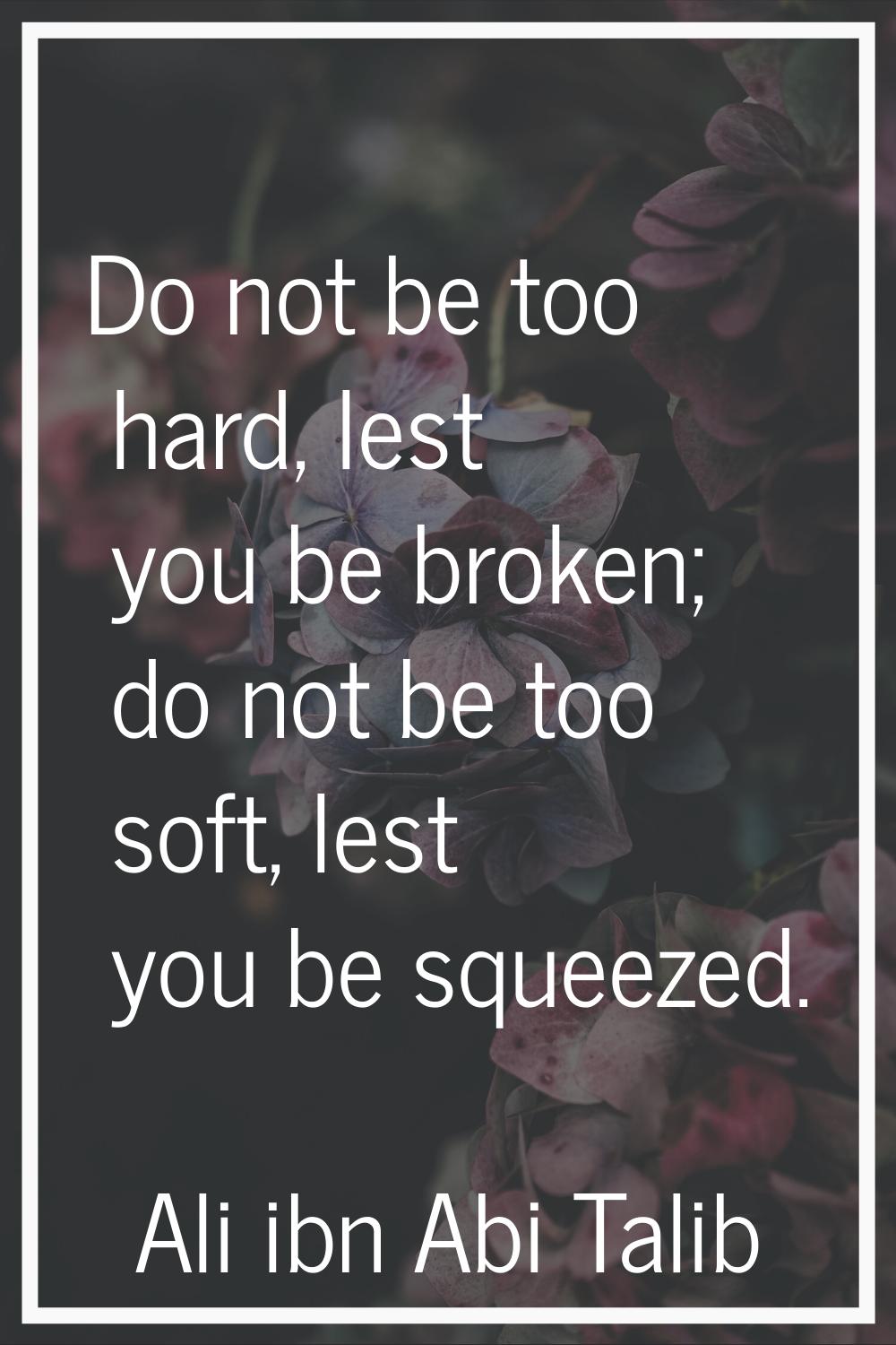 Do not be too hard, lest you be broken; do not be too soft, lest you be squeezed.