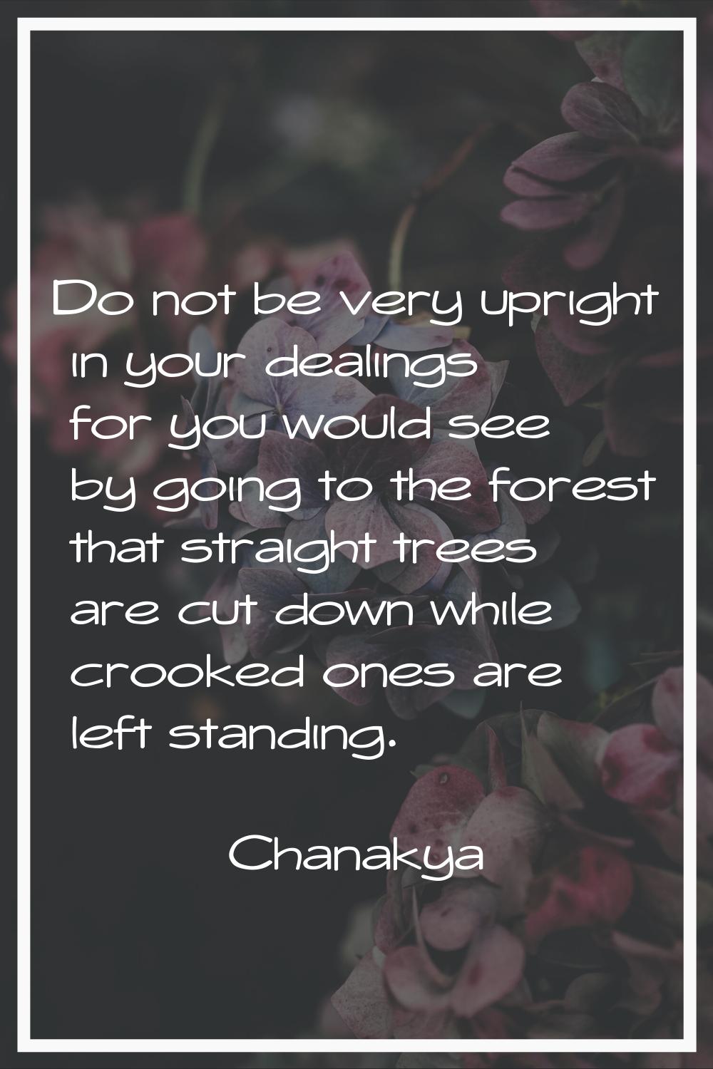 Do not be very upright in your dealings for you would see by going to the forest that straight tree