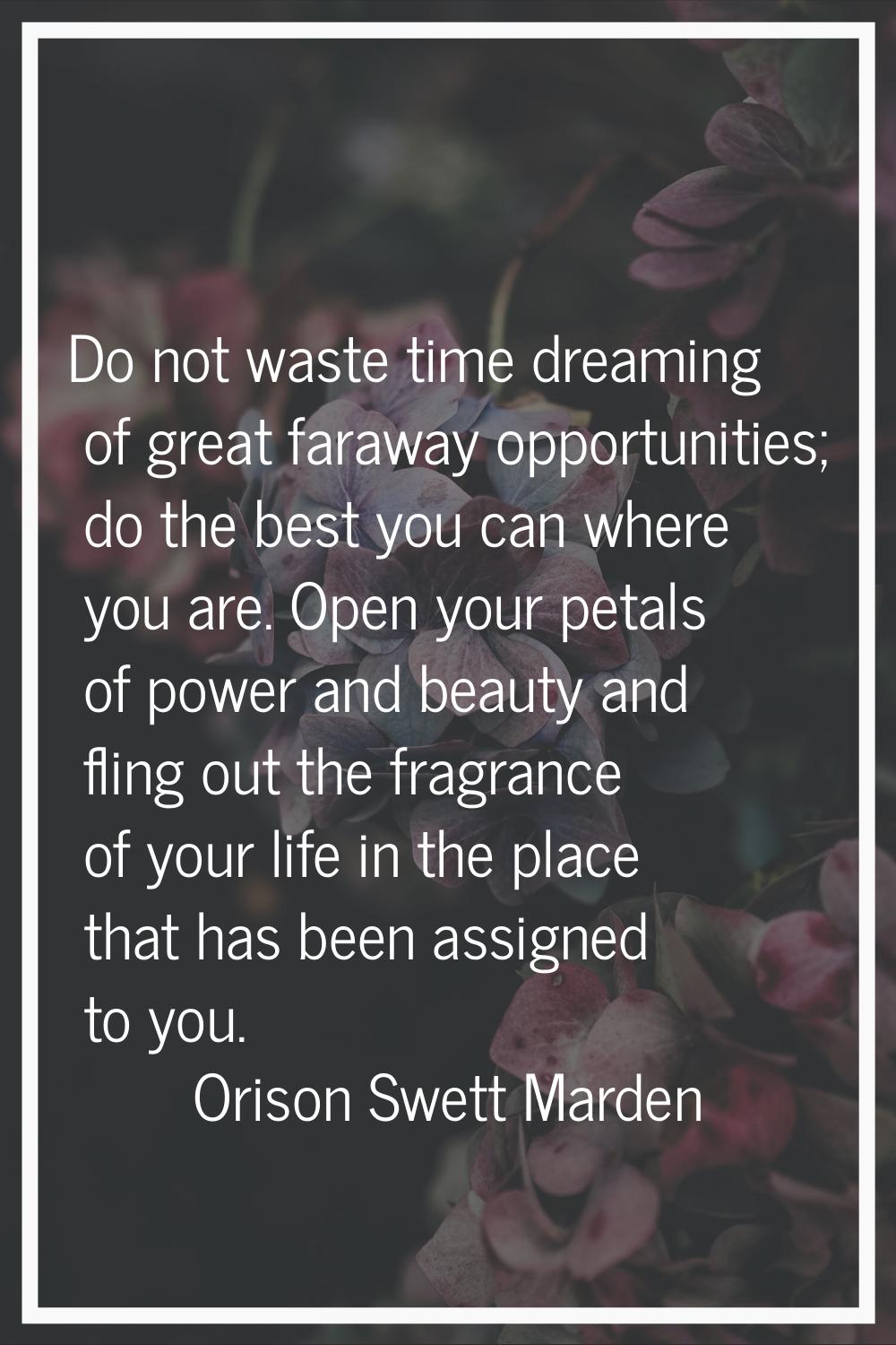 Do not waste time dreaming of great faraway opportunities; do the best you can where you are. Open 