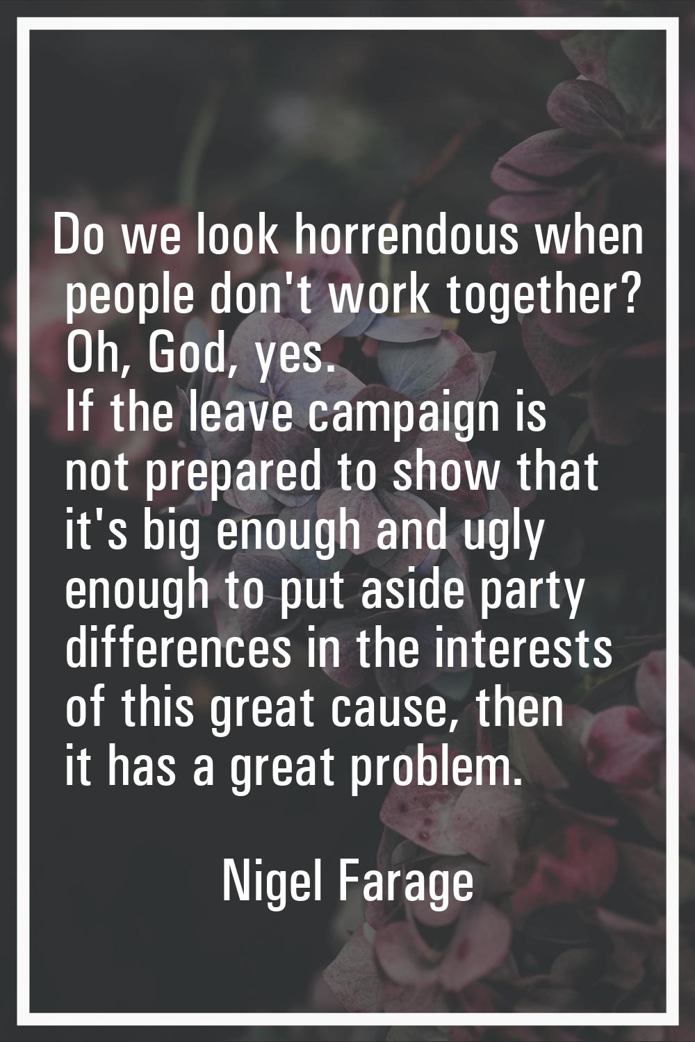 Do we look horrendous when people don't work together? Oh, God, yes. If the leave campaign is not p