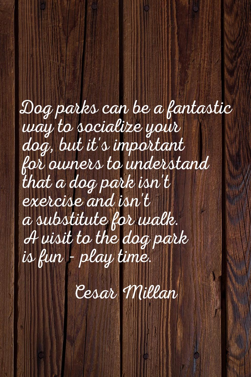 Dog parks can be a fantastic way to socialize your dog, but it's important for owners to understand