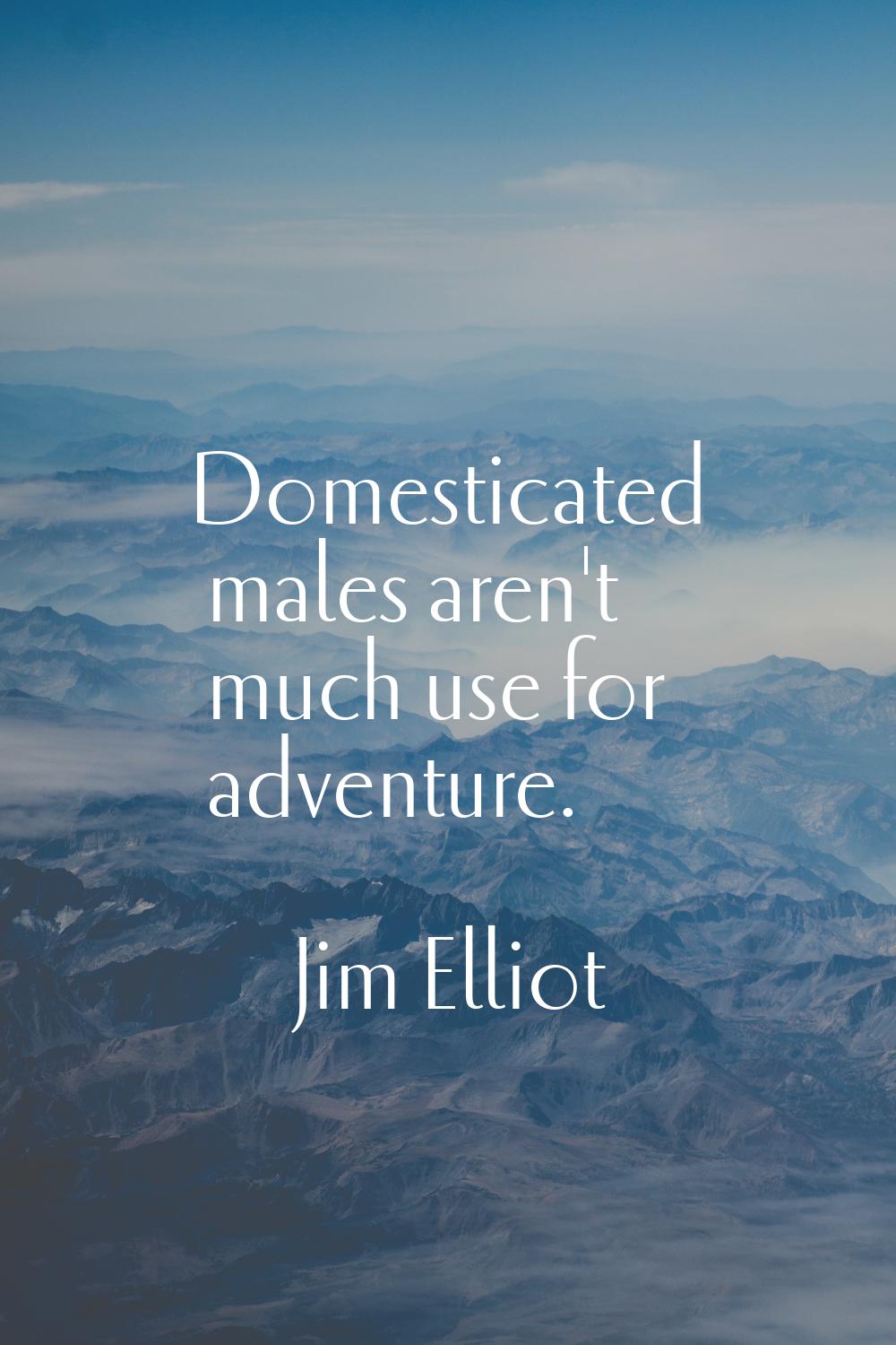 Domesticated males aren't much use for adventure.