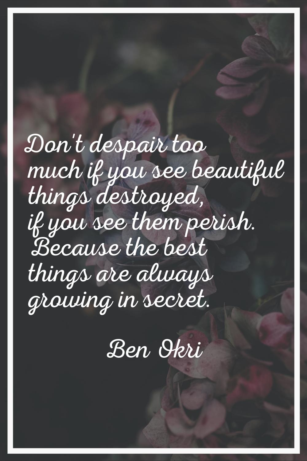 Don't despair too much if you see beautiful things destroyed, if you see them perish. Because the b