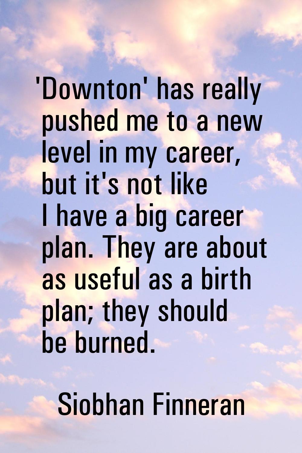 'Downton' has really pushed me to a new level in my career, but it's not like I have a big career p
