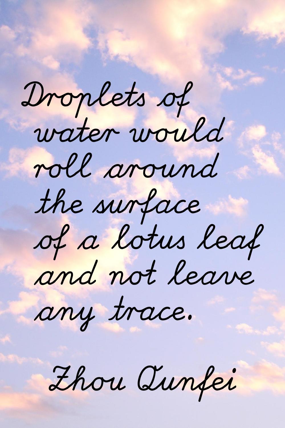Droplets of water would roll around the surface of a lotus leaf and not leave any trace.