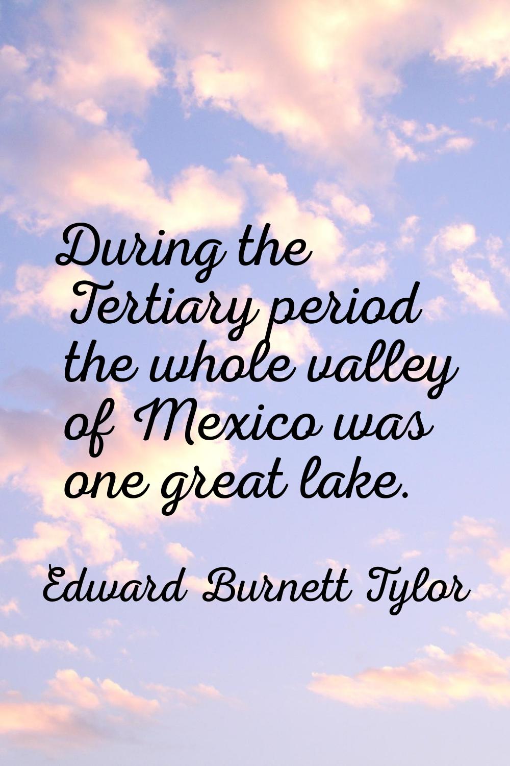 During the Tertiary period the whole valley of Mexico was one great lake.
