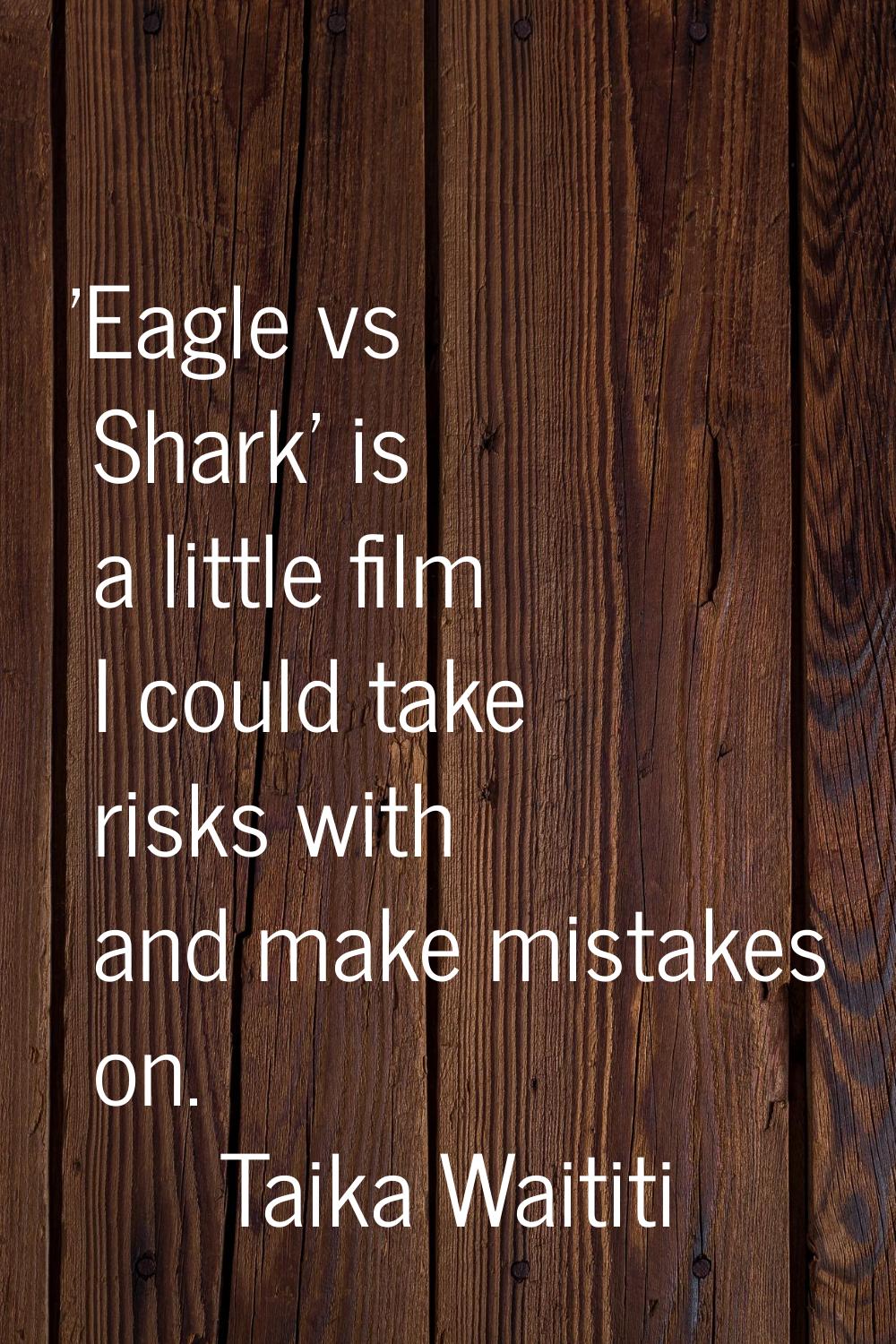 'Eagle vs Shark' is a little film I could take risks with and make mistakes on.