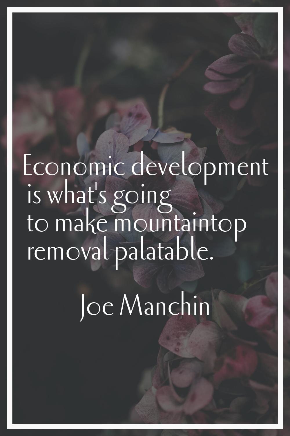 Economic development is what's going to make mountaintop removal palatable.