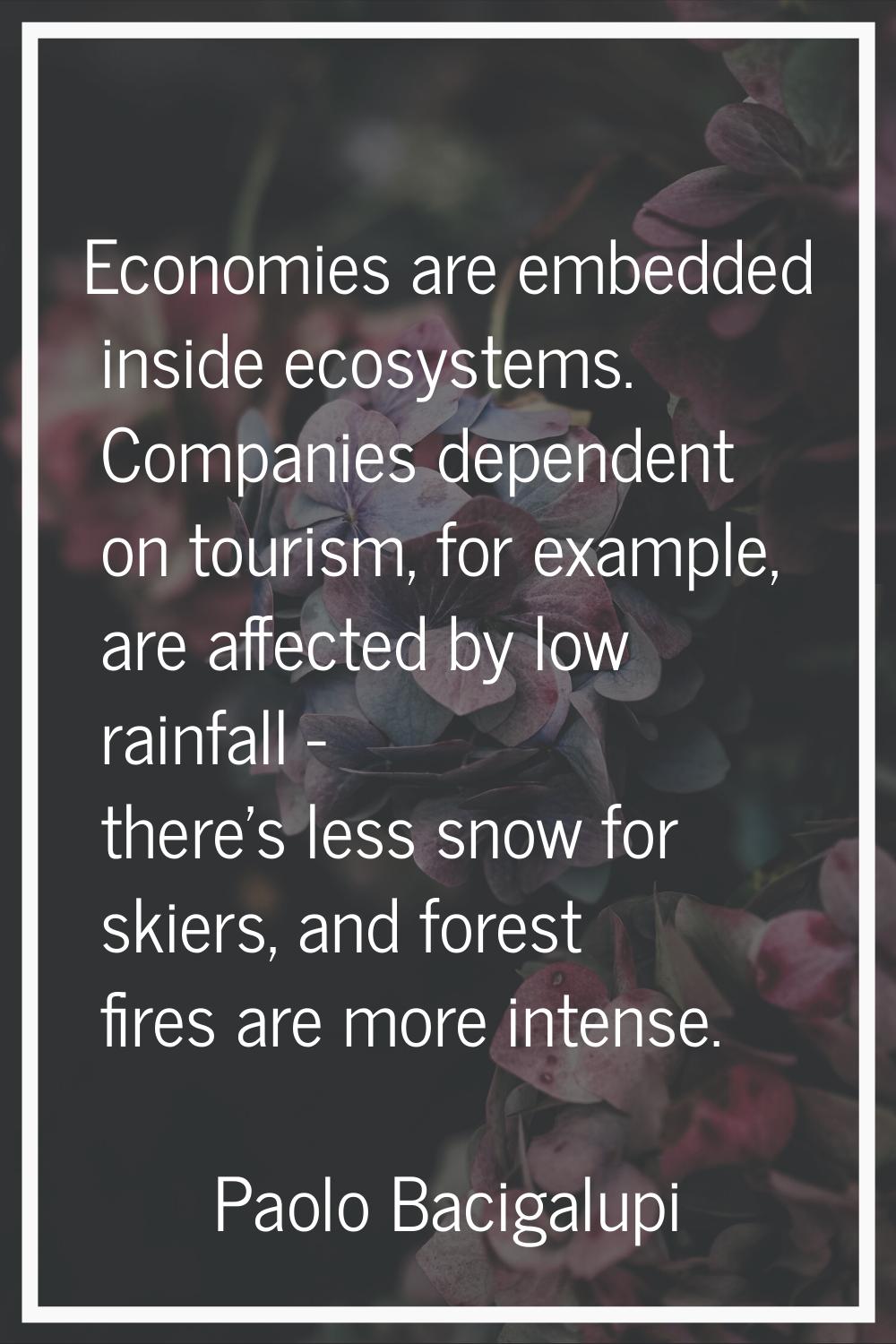 Economies are embedded inside ecosystems. Companies dependent on tourism, for example, are affected
